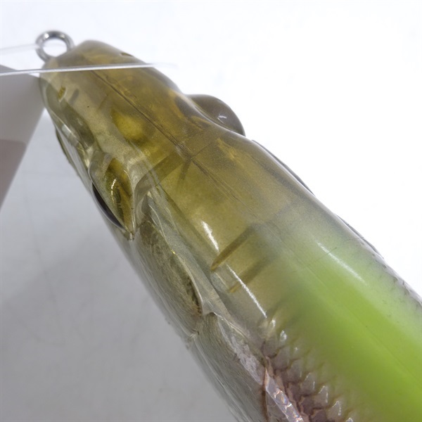 ギラギラコウゲキハーフミラーワカサギ